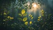 © Sona - Lush green plants and leaves illuminated by sunlight in a natural setting, showcasing nature's beauty and tranquility.