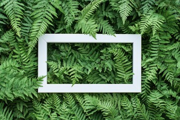 Aufkleber - White frame on lush green fern background.