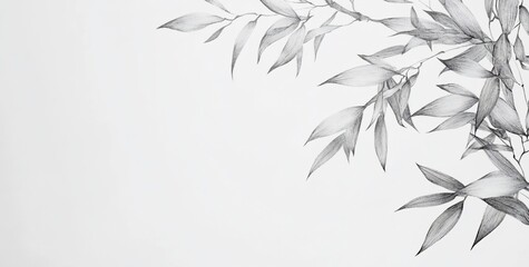Leinwandbilder - Monochrome pencil sketch of delicate leaves and branches on a white background, perfect for design elements or backgrounds.