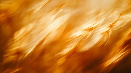 Poster - Abstract orange and yellow blurred background texture.