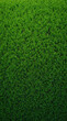 © cavalineri - Perfect Green Turf Background