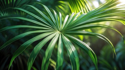 Wall Mural - abstract macro of palm leaf showcasing fresh green foliage