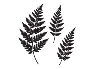 fern leaves logo vector silhouette illustration, fern leaf logo icon silhouette, bracken fern leaf s
