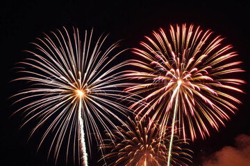 a pair of fireworks exploding in the night sky, perfect for capturing celebratory moments or adding 