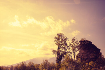 Wall Mural - mountain landscape background during sunset. trees against mountains and sunset sky