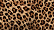 © sornram - Close-up view of a leopard's fur showcasing beautiful patterns and textures. Ideal for wildlife enthusiasts and nature photography lovers.