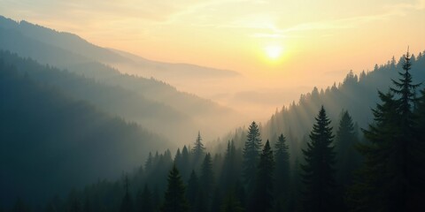 Naklejka na meble a panoramic view of a pine forest valley in early morning fog