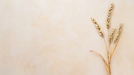calm aesthetic background with soft beige tones, natural linen texture, dried grass and diffused light