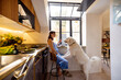 © rh2010 - A woman shares a peaceful breakfast moment with her large white dog in a sunny Italian kitchen. Great for pet food brands, home lifestyle, or kitchen design content