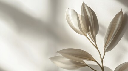 Wall Mural - Delicate Leaf Silhouette Against Soft Neutral Background Light
