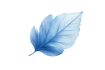 Fototapete - Blue leaf design featuring transparency and intricate details suitable for digital art and nature-themed projects, ideal for backgrounds and graphics