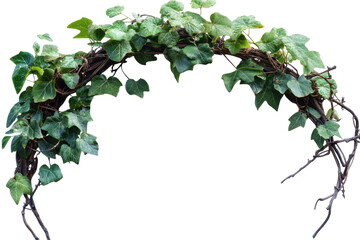 Poster - Decorative branch with green leaves perfect for floral arrangements and crafts in various settings