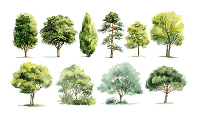 watercolor green trees isolated for landscape and garden drawing, botanical environment elements, sp