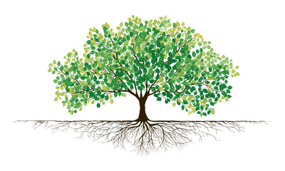tree with roots and green leaves isolated on white background, flat style, vector illustration, natu