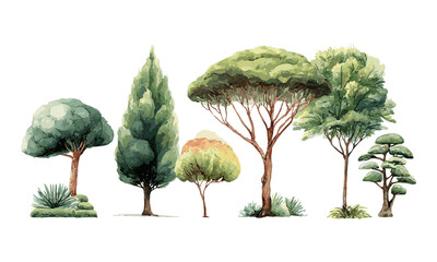 Hand drawn trees watercolor, vector illustration for architecture, garden decor, natural elements, floral sketch, outdoor scenery, eco design, artistic foliage, landscape elements.