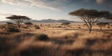 African savanna with scattered acacia trees	