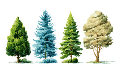 Watercolor lush ash, green pine, beige bush, blue spruce, woodland plants, nature background, vector illustration, forest environment, eco design, botanical greenery.