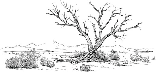Wall Mural - desolate desert landscape with barren tree in black and white illustration. vector illustration