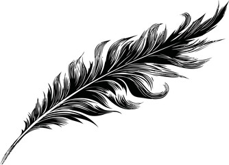 Poster - Black and white detailed feather illustration on a white background. Vector illustration