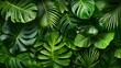 © Habibah - A vibrant display of tropical leaves.