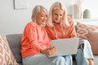 © Pixel-Shot - Mature female friends with laptop video chatting at home