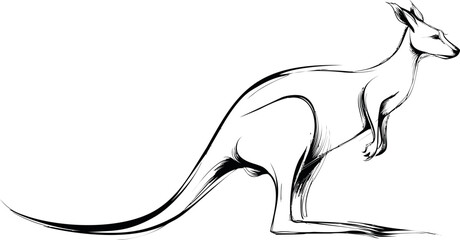 Poster - Dynamic black and white sketch of a kangaroo in profile, fluid artistic style. Vector illustration