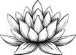 © cac_tus - Black and white illustration of a lotus flower with detailed line art. Vector illustration