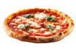© Mr. Png - Delicious margherita pizza with melted cheese and fresh basil garnish, cut out