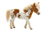 Playful miniature pony trotting at a charming farm captured in vibrant colors outdoor setting eye-level view animal joy