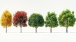 © Bejo Studio - Five trees in various autumnal stages