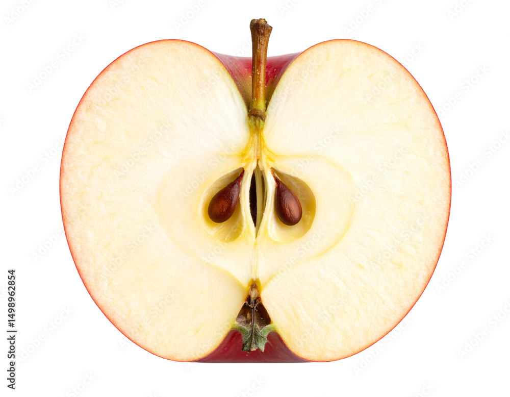 An apple cut in half with the core visible, hyper realistic isolated on ...