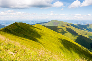 Wall Mural - scenery of borzhava ridge in summer. outdoor adventure. alpine landscape of carpathian mountain rang