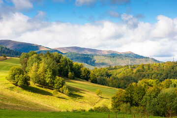 Wall Mural - scenery with trees on the hill in dappled light. forested mountain landscape in autumn season. majes