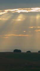 Sticker - Vertical Video of Sunrise Light Rays Peering Through Clouds Over Open Landscape with Trees and Dramatic Natural Lighting.