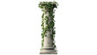 © john - Ivy-Covered Classical Column: 3D Render for Design isolated on transparent background
