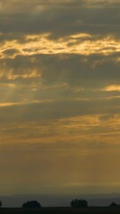 Sticker - Vertical Video Panning Across Sunrise Scene with Trees and Orange Atmospheric Clouds in Early Morning.