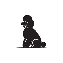 Digital Printable Toy Poodles Free Stock Photo - Public Domain Pictures