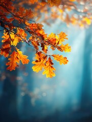 Poster - Golden Oak Leaves Hanging in Autumnal Forest with Soft Light and Blue Background, Close-Up Shot, Nature Beauty