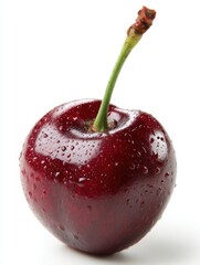 Aufkleber - Single dark red cherry close up studio shot with water droplets and stem on white background