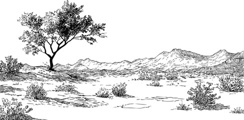 Wall Mural - ink sketch of a lone tree in a mountainous desert landscape, artistic drawing. vector illustration