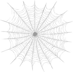 Poster - Intricate white spider web on a plain background, detailed sketch illustration. Vector illustration