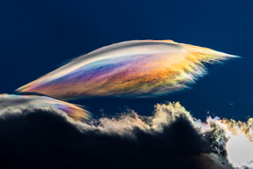 spectacular iridescent cloud glows in vivid rainbow colors above dark storm clouds. rare optical wea