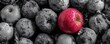© Thares2020 - A fresh red apple amidst gray rotten fruit  long title A single vibrant red apple stands out against a backdrop of spoiled discolored fruit creating