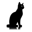 © ThiagoMoraes - black cat silhouette