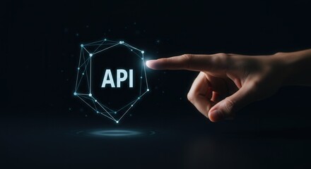 Understanding application programming interface api integration and development concept