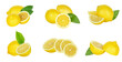 © Ma - lemon collection, fresh yellow citrus fruit on transparent background.