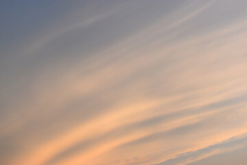 Wall Mural - beautiful golden sky and white cloud background in springtime