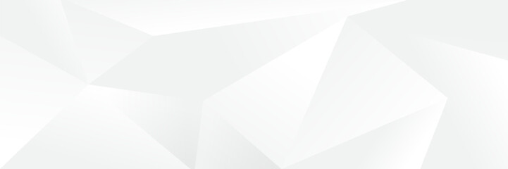 Wall Mural - abstract pattern white geometric banner design background.