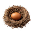 © Usman - A single brown egg nestled securely within a meticulously crafted bird's nest on transparent background