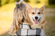 © GRON777 - Girl stands with her back to frame and holds in her arms, hugs and presses Welsh Corgi dog to herself, during walk in park on sunny day, close-up. Concept of love for animals, pet therapy